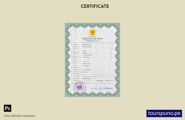 listo para imprimir plantilla PSD del certificado de defunción del registro c 88